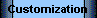 Customization